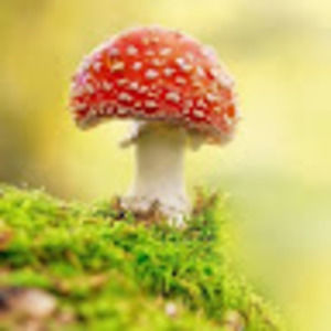 Meet your Posher, Claire